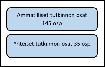Näkymä tutkinnon rakenteesta